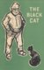  The black cat and other stories 