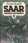 Saar merede ristmikul