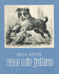 Vaat mis juhtus