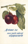 Aretame ise uusi meile sobivaid viljapuusorte