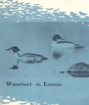 Waterfowl in Estonia