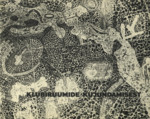 Klubiruumide kujundamisest