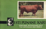 Eesti punane kari. Красный эстонский скот. The estonian red breed