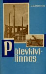 Põlevkivilinnas