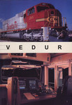Vedur