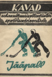 Jääpall