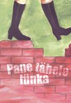 Pane tähele lünka