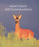 Kohtumisi metsloomadega