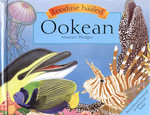 Ookean