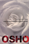 Armastamine