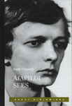 Ajapildi sees