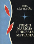 Poimin marjoja sinisestä metsästä