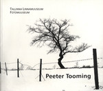 Peeter Tooming