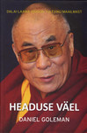 Headuse väel
