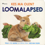Kes ma olen?