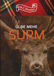Ülbe mehe surm