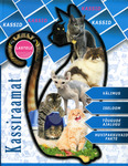 Kassiraamat
