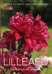 Lilleaed (2. osa)