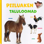 Piiluaken
