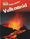 Vulkaanid