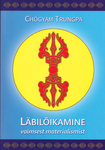 Läbilõikamine vaimsest materialismist