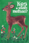 Kes elab metsas
