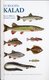  Euroopa kalad 