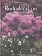  Rododendron 