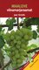  Maalehe viinamarjaraamat 