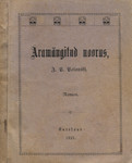 Äramängitud noorus