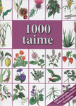 1000 taime