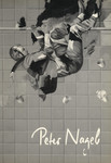 Peter Nagel